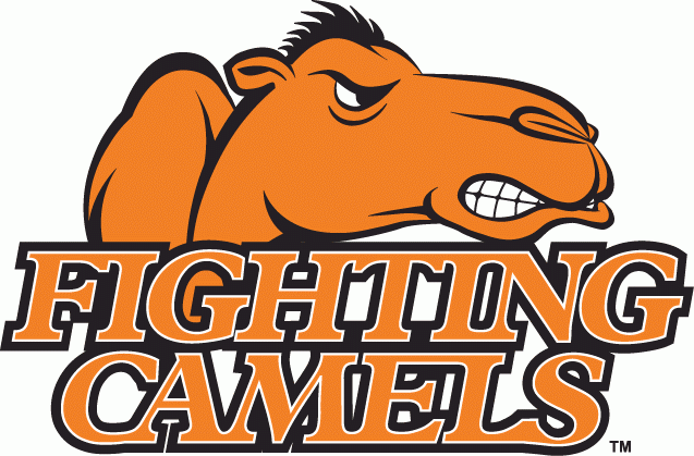 Campbell Fighting Camels 2005-2007 Alternate Logo diy DTF decal sticker